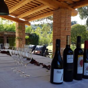 Tast de Vins 10 tast de vins a la masia, cata de vinos en la masia