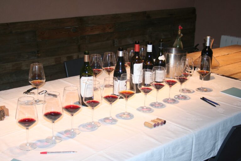 Tast de Vins 16 Cata de vinos can Tomàs