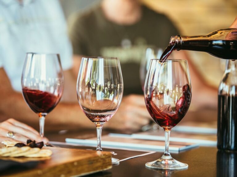 Tast de Vins 15 cata de vinos xavier bassa 5f29843d243817458838dd7a