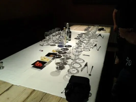 Mesa de taller de gin tonic preparada con copas balloon, botellas y botanicals en Can Tomàs Bassa